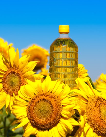 Sunflower Oil - Premium Quality Export by Roominos